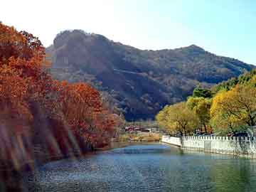 正新澳门二四六天天彩，家电面板